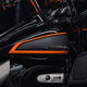 Look at all those little H-D crests.